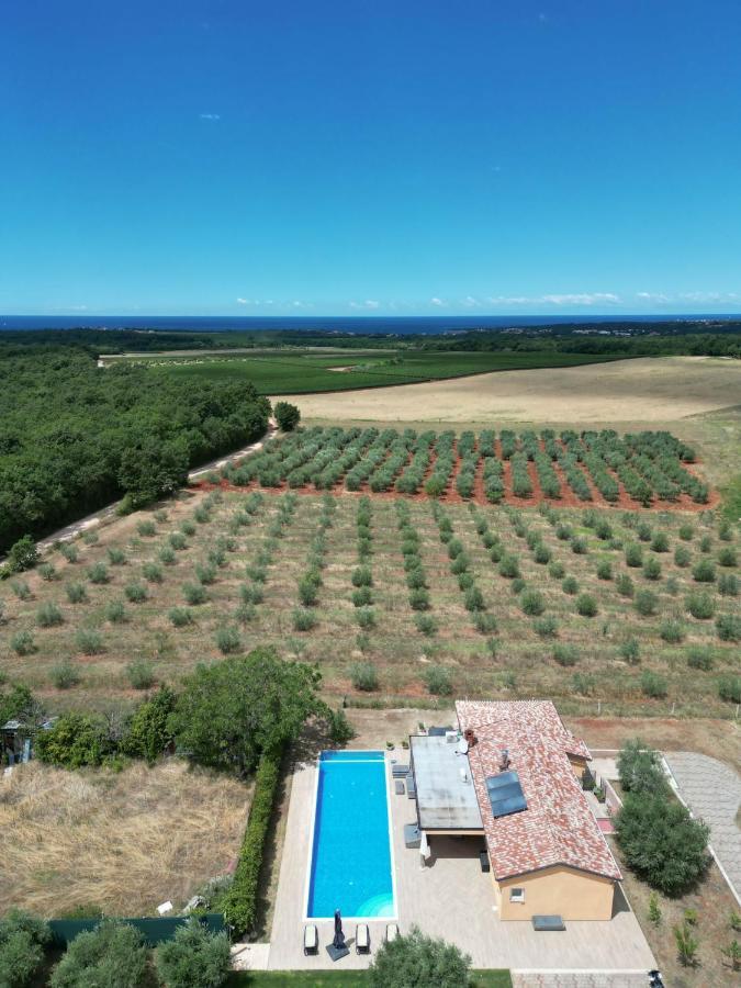 Villa Absolute Privacy Новиград Экстерьер фото